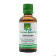 Sie sehen eine Packung Gemmo Mazerat Libanonzeder Cedrus Libani Phytopharma 50ml, Produktbild: 02 Gemmo Mazerat Libanonzeder Cedrus Libani Phytopharma 50ml, A-Nr.: 3107371 - 02