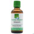 Sie sehen eine Packung Gemmo Mazerat Schwarzerle Alnus Glutinosa Phytopharma 50ml, Produktbild: 01 Gemmo Mazerat Schwarzerle Alnus Glutinosa Phytopharma 50ml, A-Nr.: 3107069 - 01