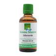 Sie sehen eine Packung Gemmo Mazerat Silberweide Salix Alba Phytopharma 50ml, Produktbild: 02 Gemmo Mazerat Silberweide Salix Alba Phytopharma 50ml, A-Nr.: 4493175 - 02