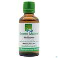 Sie sehen eine Packung Gemmo Mazerat Weisstanne Abies Alba Phytopharma 50ml, Produktbild: 01 Gemmo Mazerat Weisstanne Abies Alba Phytopharma 50ml, A-Nr.: 3107282 - 01