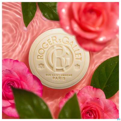 Sie sehen eine Packung Seifen Roger & Gallet Wellbeing Soap Feuille De The 100g, Produktbild: 04 Seifen Roger & Gallet Wellbeing Soap Feuille De The 100g, A-Nr.: 5733434 - 04