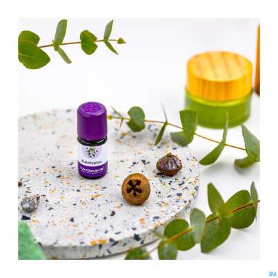 Sie sehen eine Packung Aetherische Oele Taoasis Bio Eucalyptus 5ml, Produktbild: 04 Aetherische Oele Taoasis Bio Eucalyptus 5ml, A-Nr.: 3163406 - 04