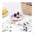 Sie sehen eine Packung Aetherische Oele Taoasis Bio/demeter Lavendel Fein 5ml, Produktbild: 05 Aetherische Oele Taoasis Bio/demeter Lavendel Fein 5ml, A-Nr.: 3164334 - 05