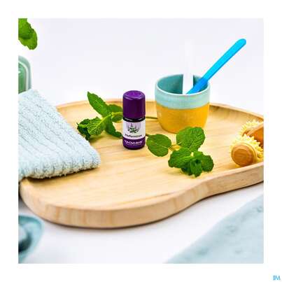 Sie sehen eine Packung Aetherische Oele Taoasis Bio/demeter Pfefferminze 5ml, Produktbild: 05 Aetherische Oele Taoasis Bio/demeter Pfefferminze 5ml, A-Nr.: 3165291 - 05
