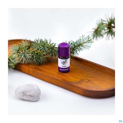 Sie sehen eine Packung Aetherische Oele Taoasis Bio Zeder 5ml, Produktbild: 04 Aetherische Oele Taoasis Bio Zeder 5ml, A-Nr.: 3166899 - 04