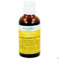 Sie sehen eine Packung Propolis Tropfen -oekopan 50ml, Produktbild: 04 Propolis Tropfen -oekopan 50ml, A-Nr.: 1371997 - 04