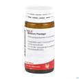Sie sehen eine Packung Bronchi Plantago Comp Wala Globuli 20g, Produktbild: 07 Bronchi Plantago Comp Wala Globuli 20g, A-Nr.: 2053182 - 07