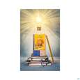 Sonnentor Tee/bio Geistesblitz 02316 18st, A-Nr.: 5742338 - 05