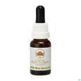 Sie sehen eine Packung Aub Old Man Banksia, Produktbild: 01 Aub Old Man Banksia, A-Nr.: 2627200 - 01