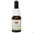 Sie sehen eine Packung Aub Old Man Banksia, Produktbild: 02 Aub Old Man Banksia, A-Nr.: 2627200 - 02