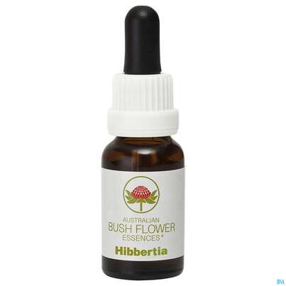 Sie sehen eine Packung Aub Hibbertia, Produktbild: 02 Aub Hibbertia, A-Nr.: 2627080 - 02