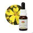 Sie sehen eine Packung Aub Hibbertia, Produktbild: 04 Aub Hibbertia, A-Nr.: 2627080 - 04