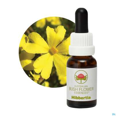 Sie sehen eine Packung Aub Hibbertia, Produktbild: 04 Aub Hibbertia, A-Nr.: 2627080 - 04