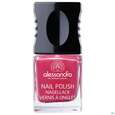 Sie sehen eine Packung Alessandro Nagellack 141 Sweet Blackberry 10ml, Produktbild: 01 Alessandro Nagellack 141 Sweet Blackberry 10ml, A-Nr.: 4626311 - 01