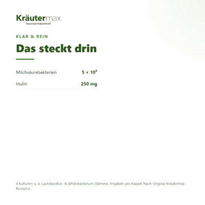 Darmbakterien Kapseln 60 Stück, A-Nr.: 4318118 - 03