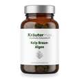 Sie sehen eine Packung Kelp Braun Algen Tabletten 90 Stück, Produktbild: 01 Kelp Braun Algen Tabletten 90 Stück, A-Nr.: 6129982 - 01