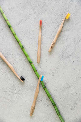 Nordics Öko Zahnbürsten Bambus Sparpack 4x Erwachsene, A-Nr.: 5666873 - 03