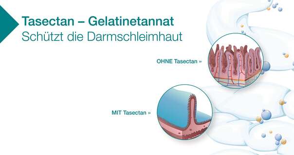 Tasectan Kapseln für Erwachsene, A-Nr.: 3919057 - 03