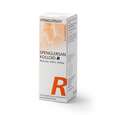 Sie sehen eine Packung Spenglersan Kolloid R, Produktbild: 02 Spenglersan Kolloid R, A-Nr.: 2665979 - 02