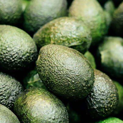 Sie sehen eine Packung RAUSCH Avocado FARBSCHUTZ-SHAMPOO, Produktbild: 03 RAUSCH Avocado FARBSCHUTZ-SHAMPOO, A-Nr.: 2155793 - 03