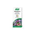 Sie sehen eine Packung A.Vogel Salviaforce mit Echinacea Halspastillen, Produktbild: 02 A.Vogel Salviaforce mit Echinacea Halspastillen, A-Nr.: 5460172 - 02