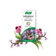 Sie sehen eine Packung A.Vogel Salviaforce mit Echinacea Halspastillen, Produktbild: 03 A.Vogel Salviaforce mit Echinacea Halspastillen, A-Nr.: 5460172 - 03