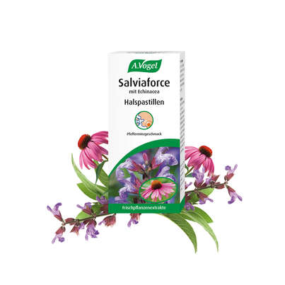 A.Vogel Salviaforce mit Echinacea Halspastillen, A-Nr.: 5460172 - 03