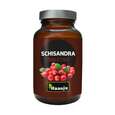 Hanoju Schisandra Extrakt Tabletten 400mg, A-Nr.: 4385416 - 01