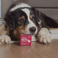 OMNi-BiOTiC® Cat &amp; Dog, 60g, A-Nr.: 5200301 - 03