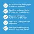 Mund-Gesund Fluid Repair &amp; Protect, A-Nr.: 4250248 - 04