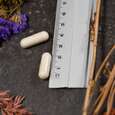 Supplementa L-Carnitin 500 mg, A-Nr.: 5597899 - 05