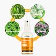 Fussspray Biofit, A-Nr.: 4285761 - 02