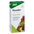 Sie sehen eine Packung Floradix® Eisen plus B12, Produktbild: 01 Floradix® Eisen plus B12, A-Nr.: 4355289 - 01