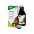 Sie sehen eine Packung Floradix® Eisen plus B12, Produktbild: 02 Floradix® Eisen plus B12, A-Nr.: 4355289 - 02