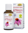Espara Echinacea Compositum Alchemistische Essenz, A-Nr.: 4039967 - 01