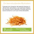 Cordyceps Pulver 350g, A-Nr.: 4546954 - 03