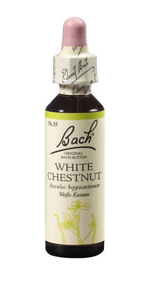 Bach®-Blüte Nr. 35 White Chestnut (Weiße Kastanie), A-Nr.: 5323400 - 01