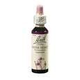Bach®-Blüte Nr. 34 Water Violet (Sumpfwasserfeder), A-Nr.: 5323392 - 01