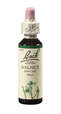 Bach®-Blüte Nr. 33 Walnut (Walnuss), A-Nr.: 5323386 - 01