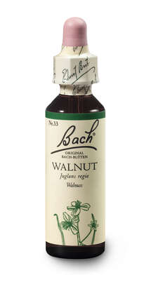 Bach®-Blüte Nr. 33 Walnut (Walnuss), A-Nr.: 5323386 - 02