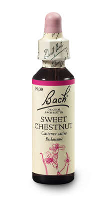 Bach®-Blüte Nr. 30 Sweet Chestnut (Esskastanie), A-Nr.: 5323340 - 03