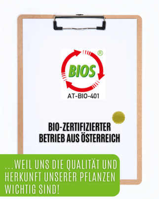 Sie sehen eine Packung Auwald® - Rosmarin - BIO Tropfen (Auszug, Extrakt, Essenz), Produktbild: 04 Auwald® - Rosmarin - BIO Tropfen (Auszug, Extrakt, Essenz), A-Nr.: 5680152 - 04
