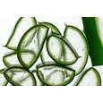 Sie sehen eine Packung Bio Aloe Vera Saft, Premium, aus Mexiko, 1 Liter, 100% pur, Produktbild: 03 Bio Aloe Vera Saft, Premium, aus Mexiko, 1 Liter, 100% pur, A-Nr.: 5229115 - 03
