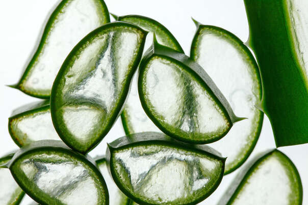 Sie sehen eine Packung Bio Aloe Vera Saft, Premium, aus Mexiko, 1 Liter, 100% pur, Produktbild: 03 Bio Aloe Vera Saft, Premium, aus Mexiko, 1 Liter, 100% pur, A-Nr.: 5229115 - 03