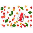 Sie sehen eine Packung BIO Acerola Vitamin C Fruchtpulver, mit 17% natürlichem Vitamin C, 500g, Produktbild: 02 BIO Acerola Vitamin C Fruchtpulver, mit 17% natürlichem Vitamin C, 500g, A-Nr.: 5229032 - 02