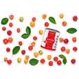 Acerola Vitamin C Fruchtpulver, mit 17% Vitamin C, A-Nr.: 5229049 - 02