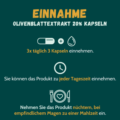 Olivenblattextrakt 20% 110 Kapseln, A-Nr.: 3009378 - 02