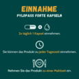 Pylopass FORTE 60 Kapseln mit B12 &amp; OBE, A-Nr.: 4737134 - 02
