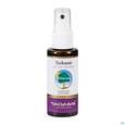Sie sehen eine Packung Taoasis Teebaum Fuß Spray 50ml, Produktbild: 01 Taoasis Teebaum Fuß Spray 50ml, A-Nr.: 3166008 - 01