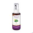 Sie sehen eine Packung Taoasis Teebaum Fuß Spray 50ml, Produktbild: 03 Taoasis Teebaum Fuß Spray 50ml, A-Nr.: 3166008 - 03